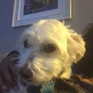 Meet your Posher, Jeanetta